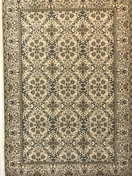 [303525/148] 148 Asinia